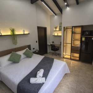 suite hotelera deluxe en milla de oro (203)